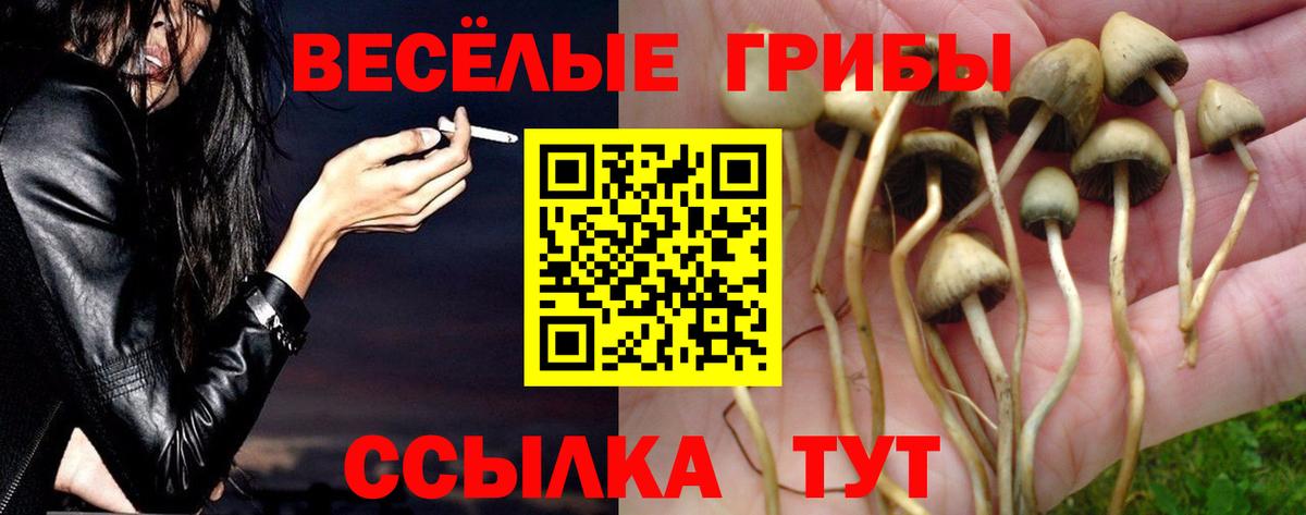 Псилоцибиновые грибы GOLDEN TEACHER  Псилоцибиновые грибы MAGIC MUSHROOMS  Лянтор  Вход с VPN 